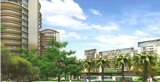Enigma Gurgaon